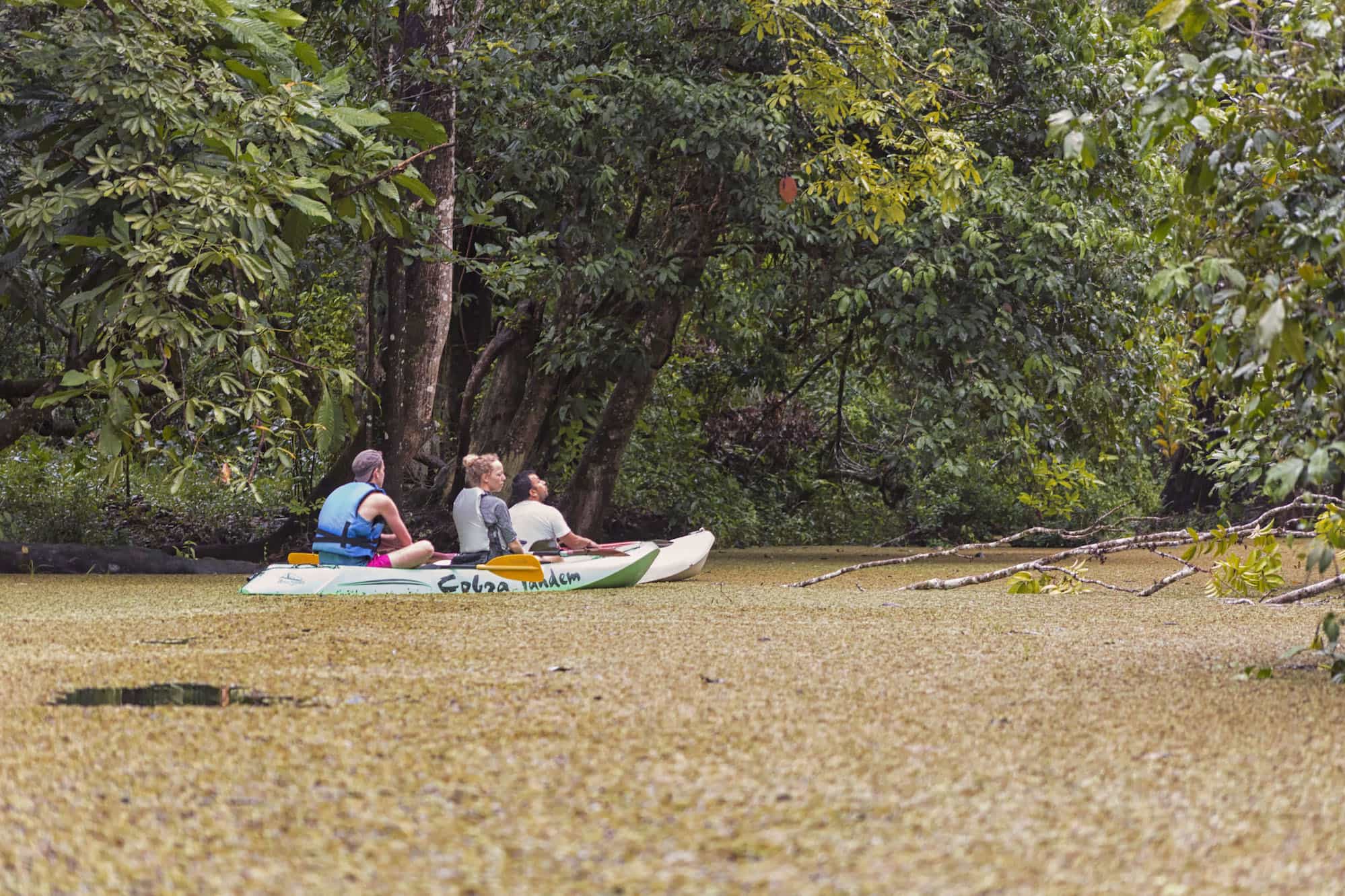 Eco-friendly cottages by the river in Rio Dulce with Pool - 2