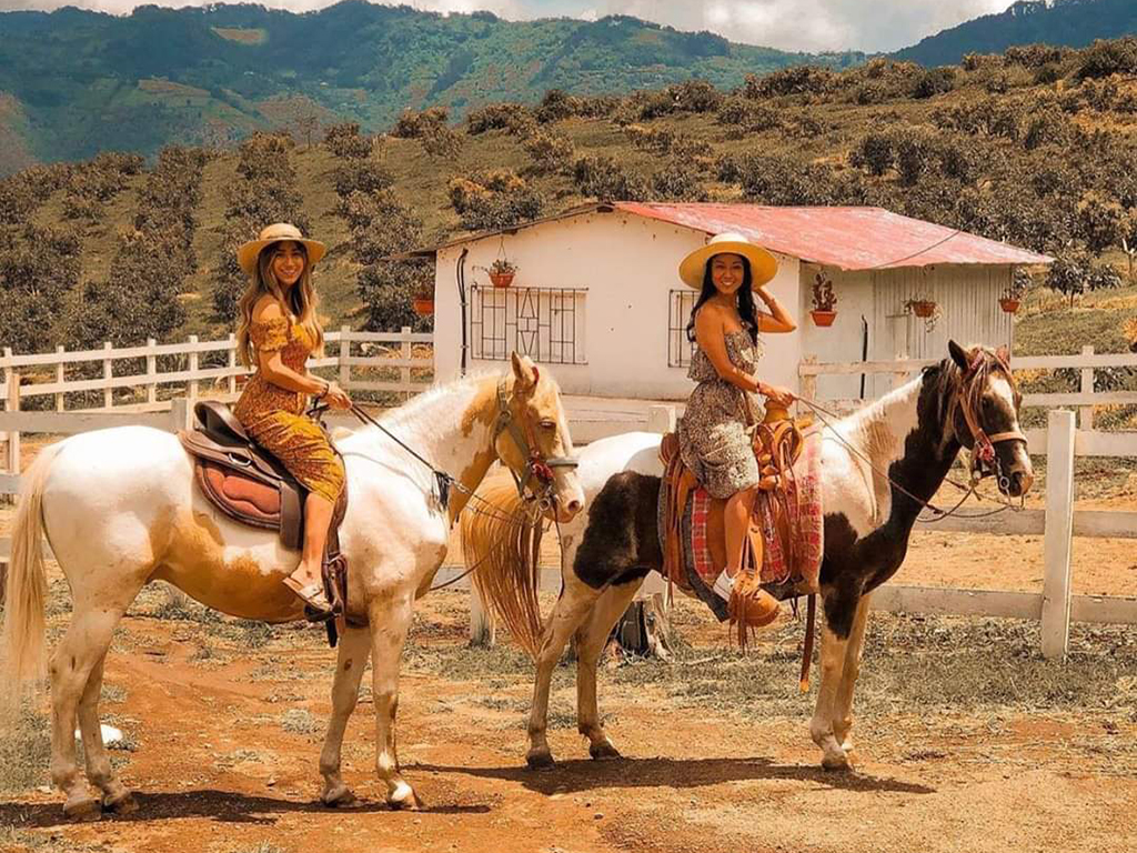 Gallery Travelisimo