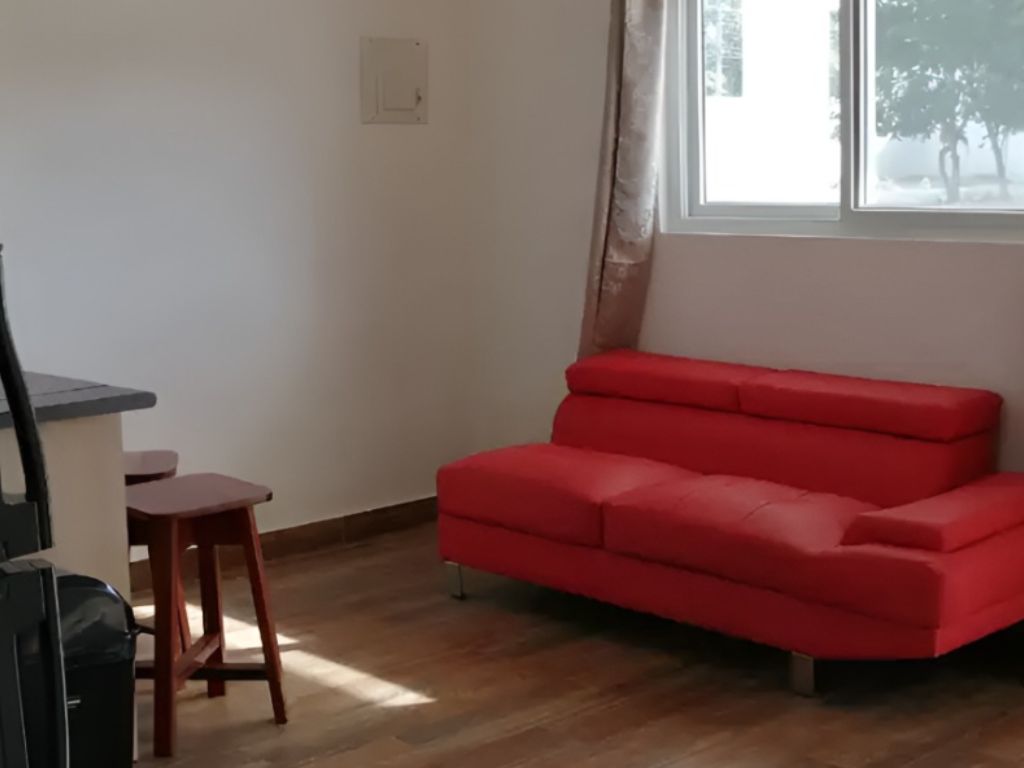 Apartment Near the Airport and cultural attractions - 1