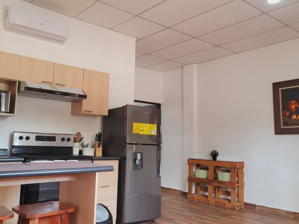 Apartment Near the Airport and cultural attractions - 3
