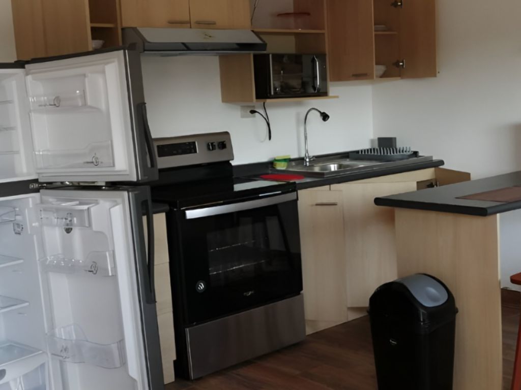 Apartment Near the Airport and cultural attractions - 4