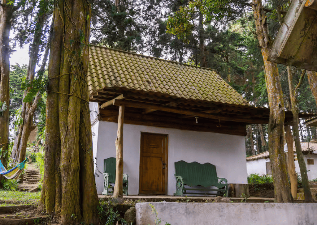 Gallery Travelisimo