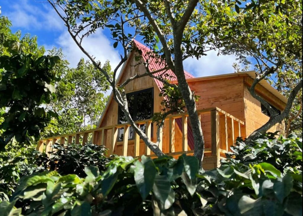 Romantic cabin in Juayúa | Nature and views - 1
