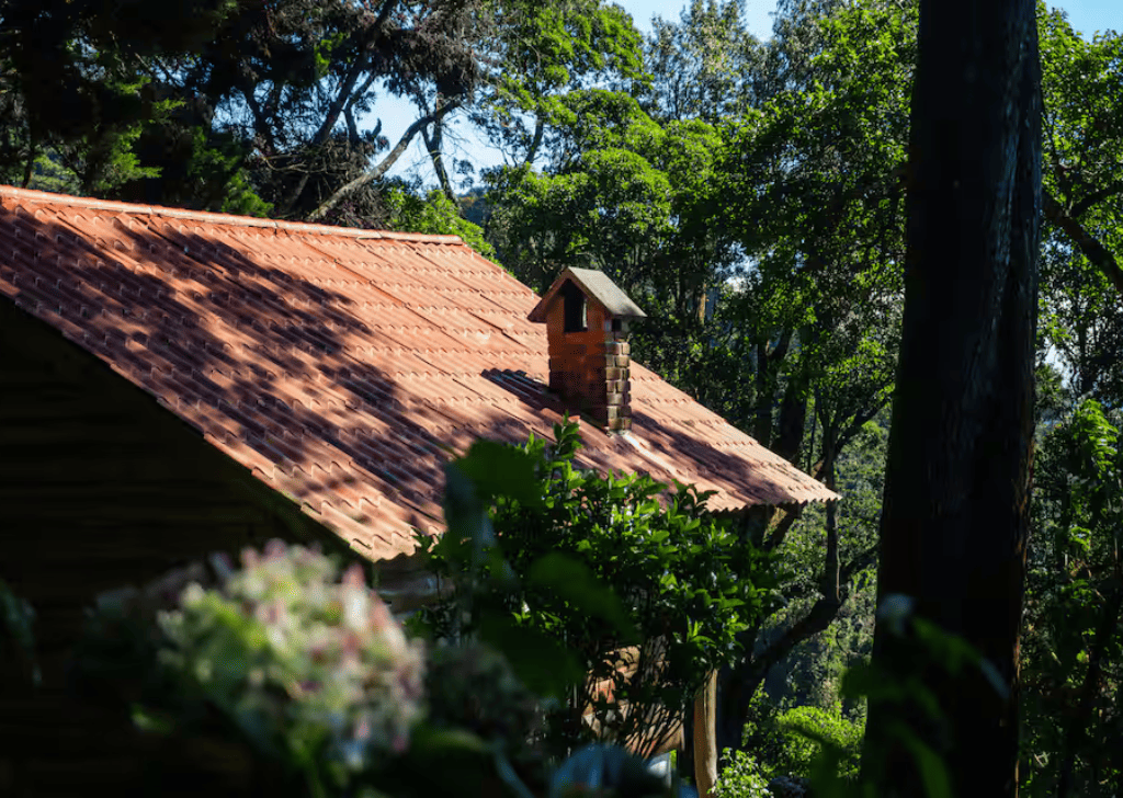 Mountain and Comfort in a Secluded Setting - 1