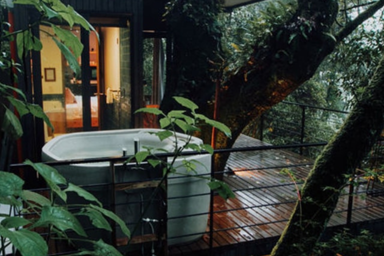 Gallery Travelisimo