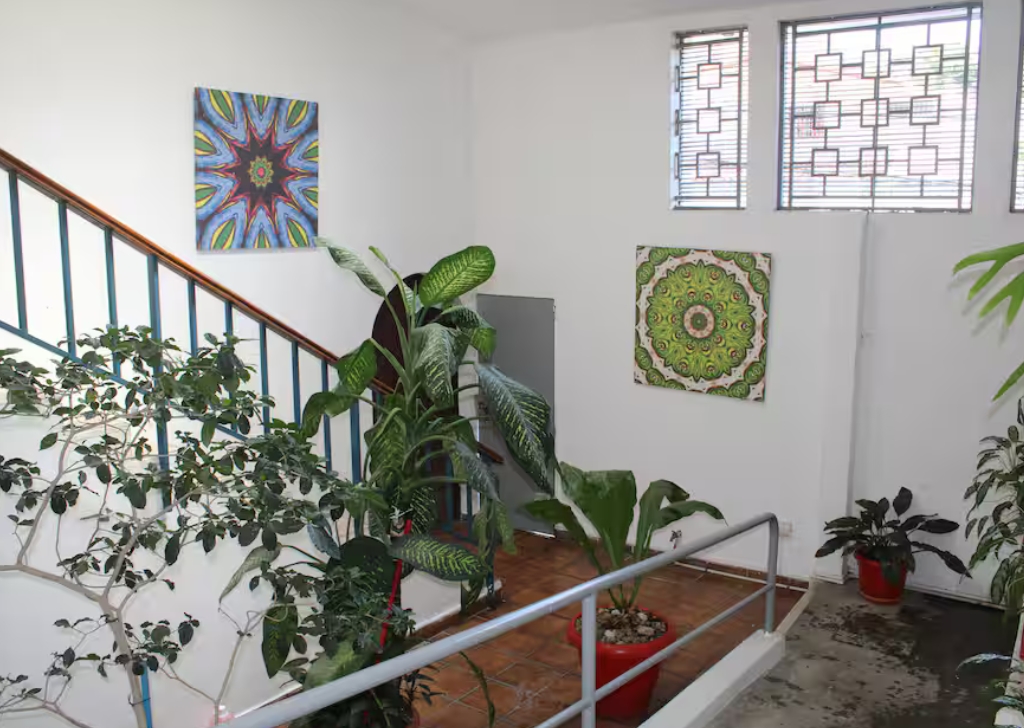 Gallery Travelisimo