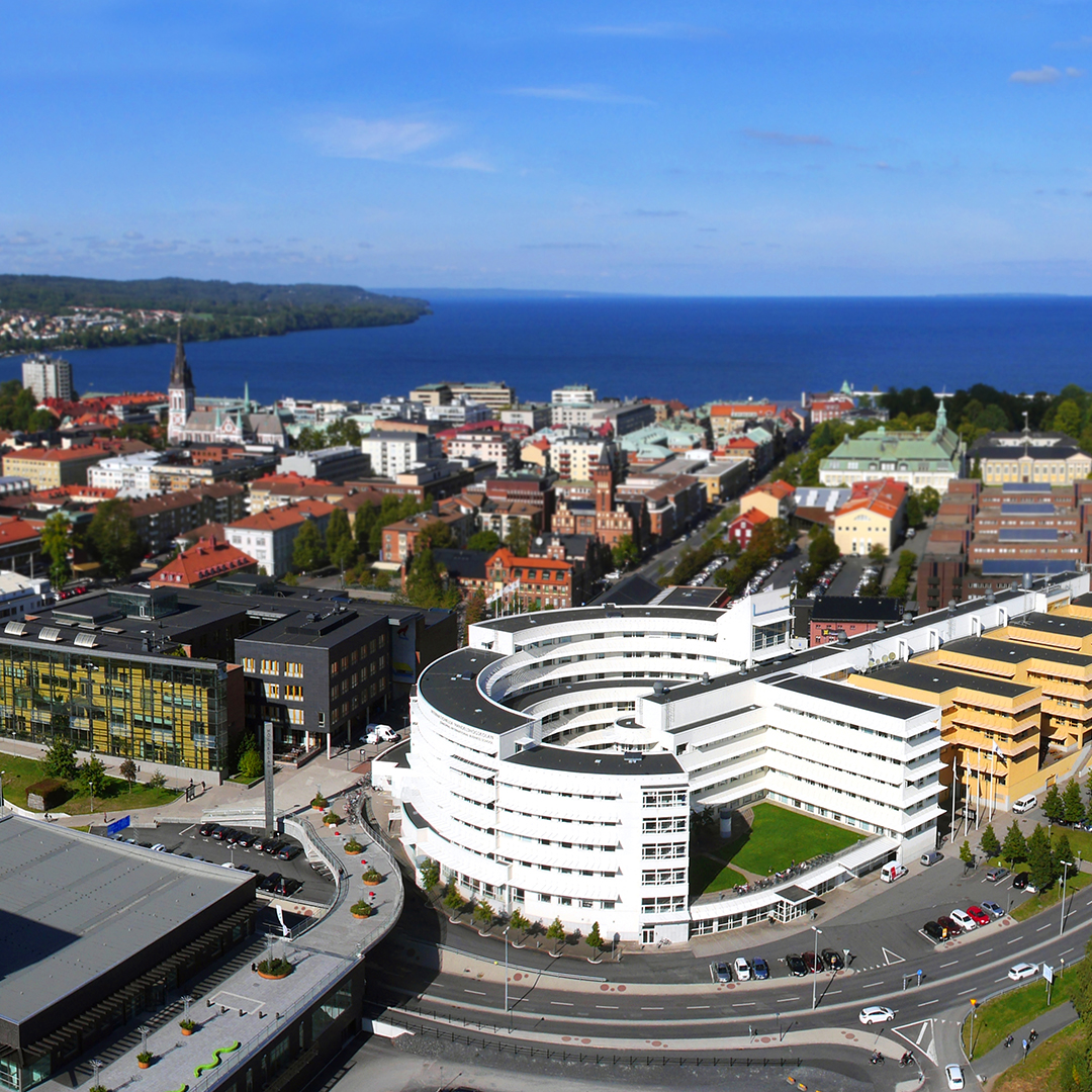 Jonkoping University