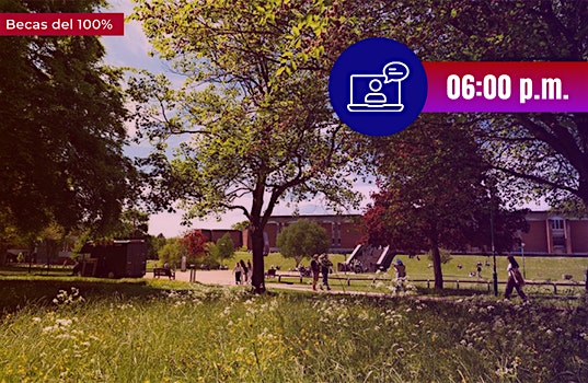 Webinar: The University of Sussex