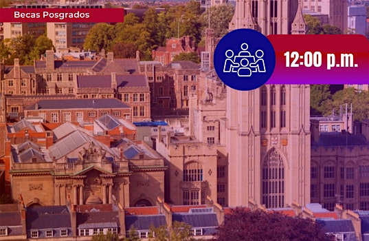 Webinar: University of Bristol Webinar: University of Bristol