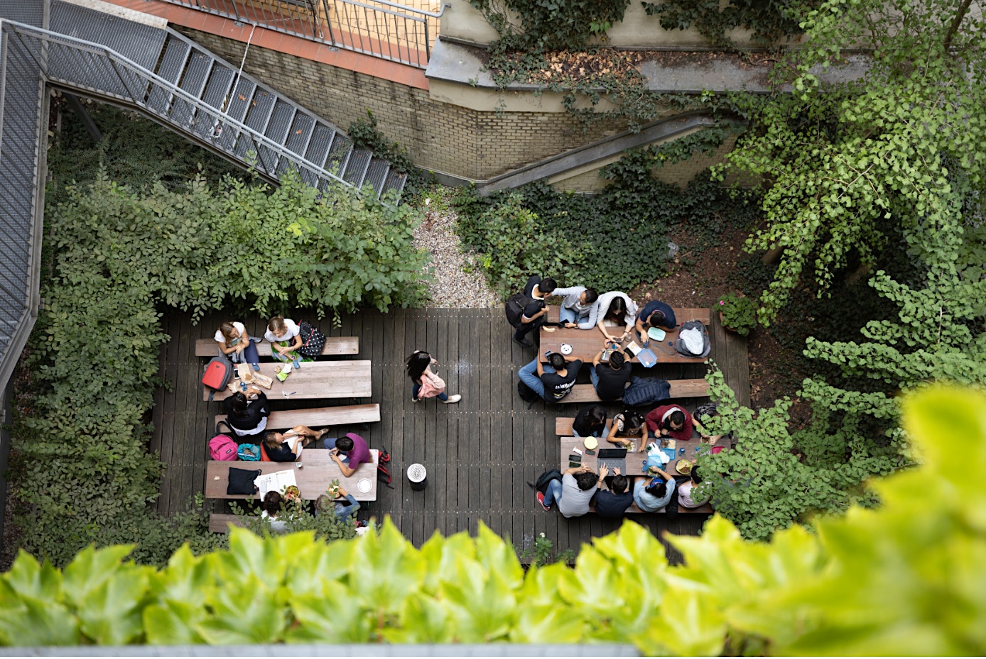 Estudia alemán en Carl Duisberg Centren