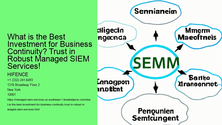 What is the Best Investment for Business Continuity? Trust in Robust Managed SIEM Services!