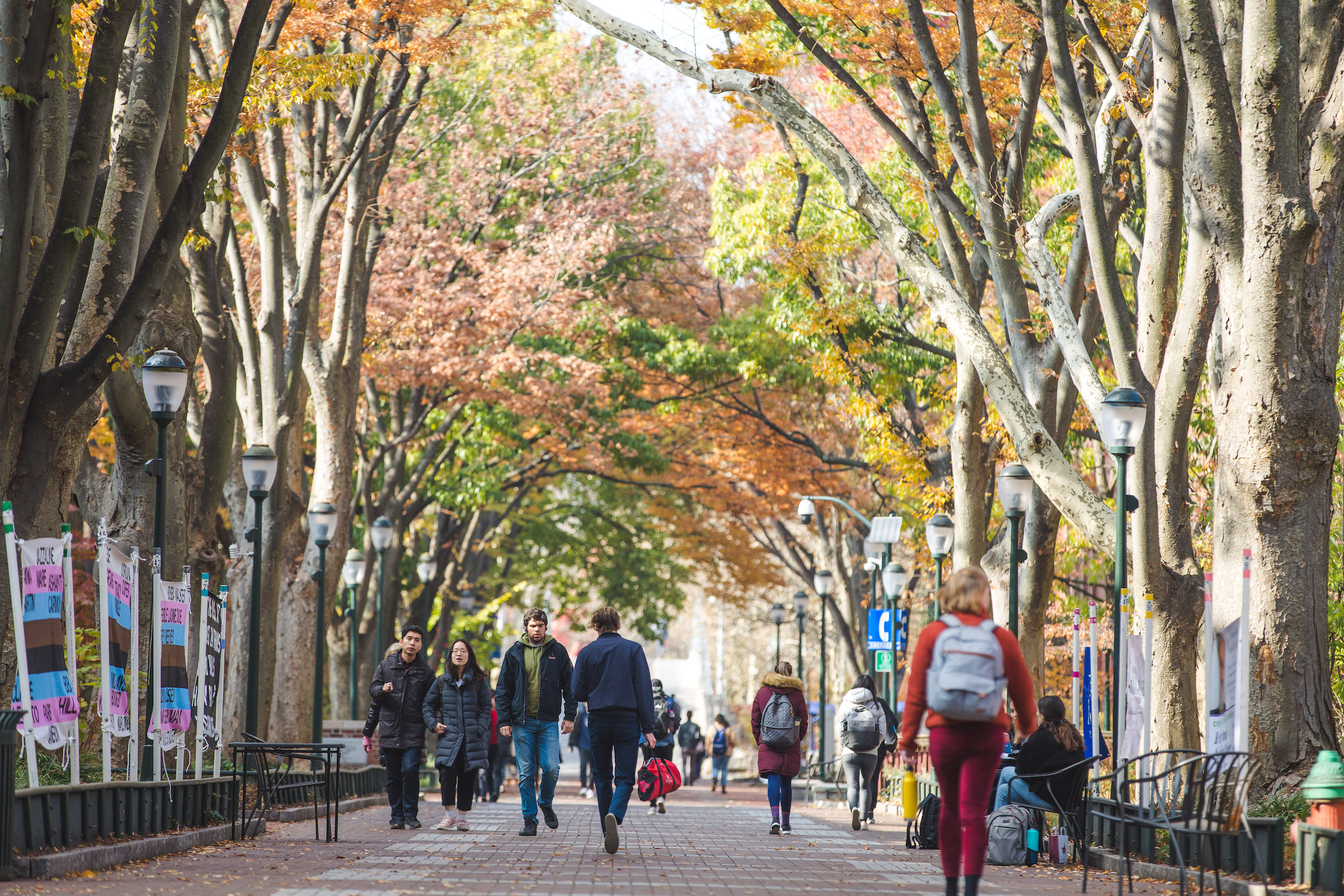 Students-on-Locust-Walk