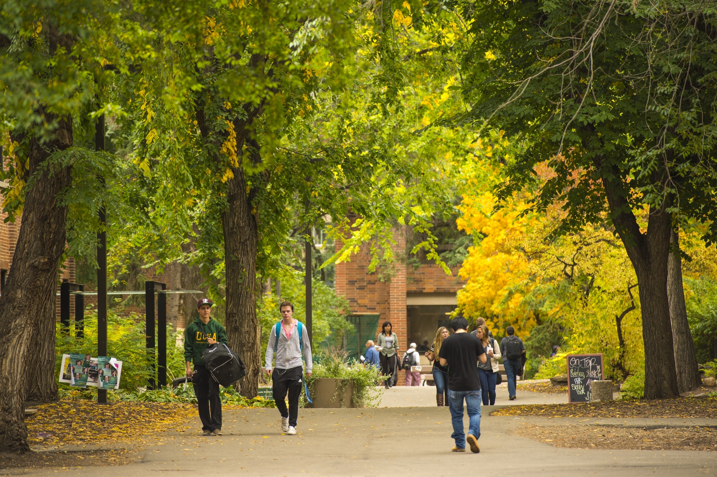 U of A 2