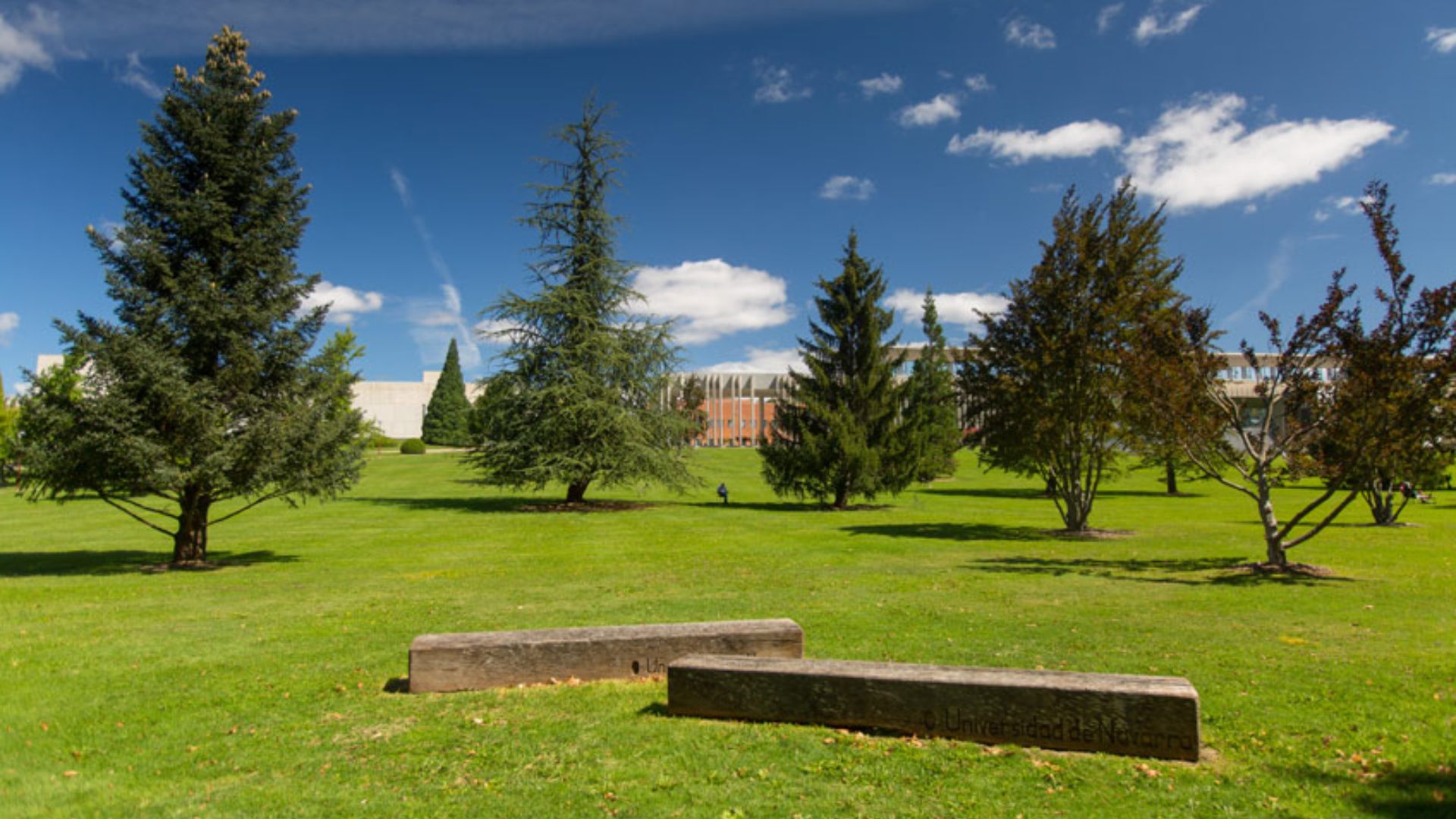 Universidad de Navarra