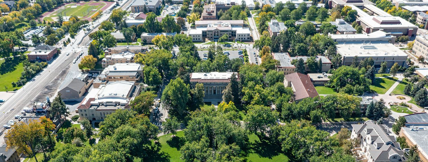 Colorado State University 