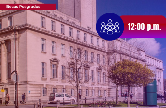 Webinar: University of Leeds Webinar: University of Leeds