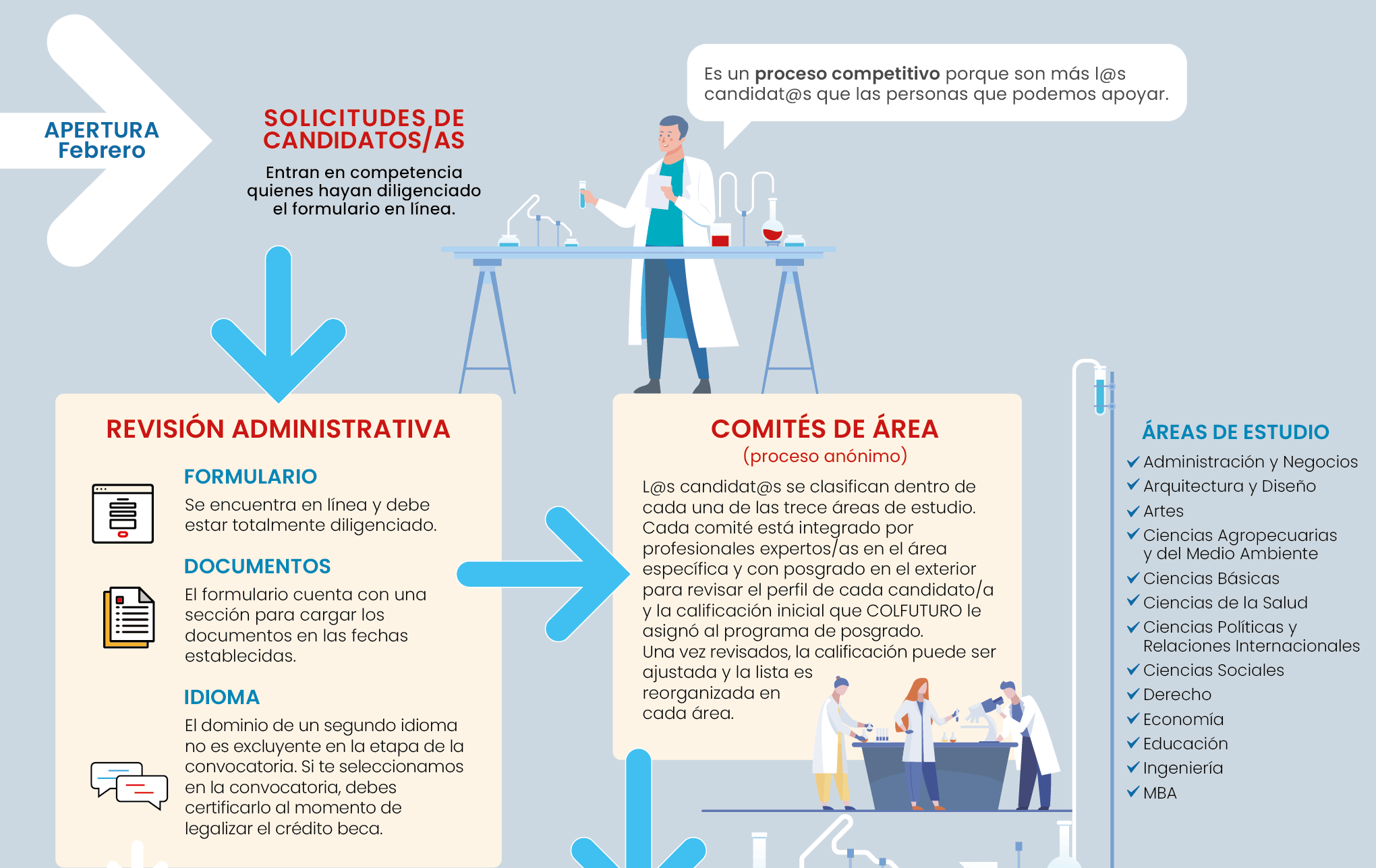 Proceso de selección