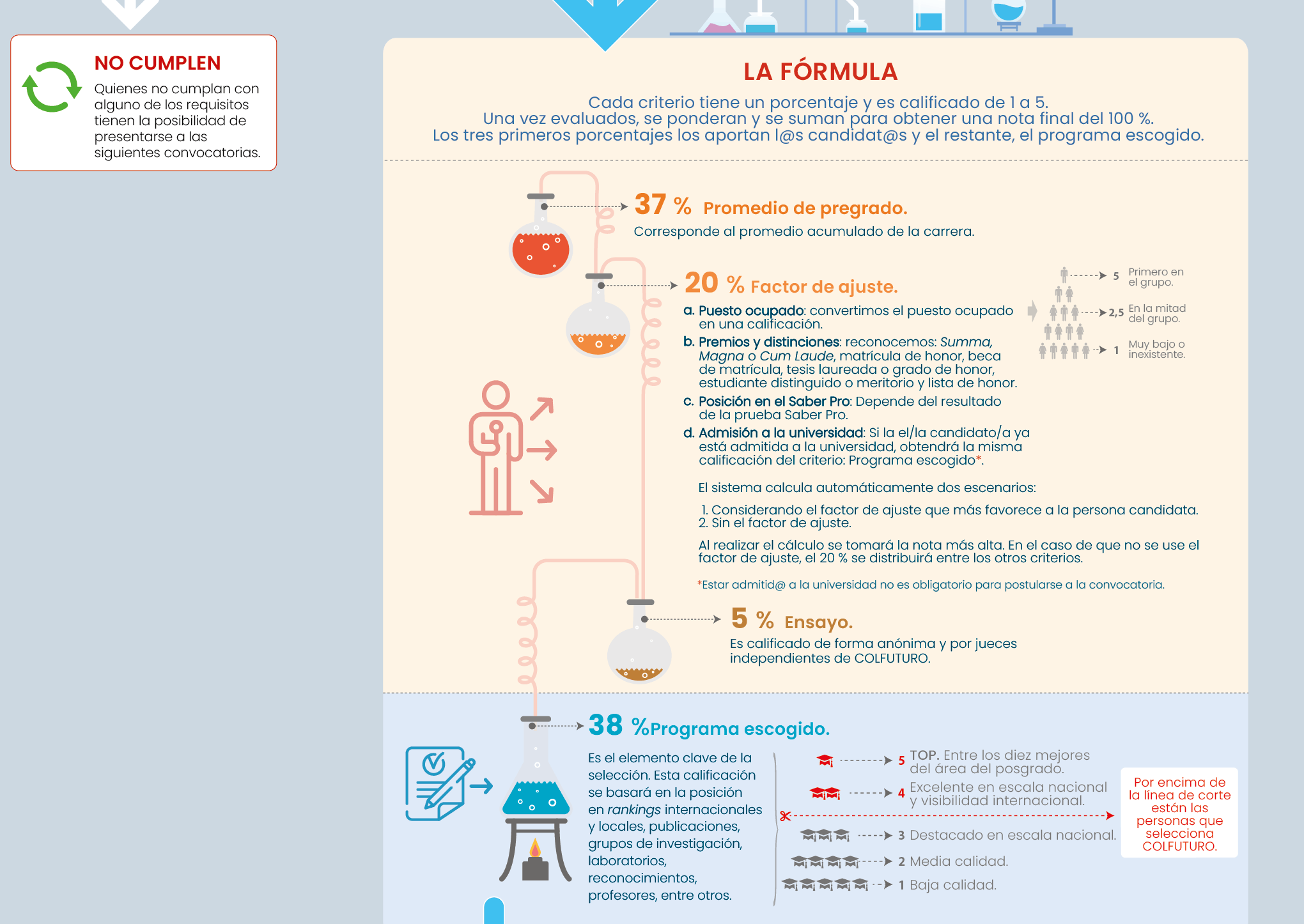 Proceso de selección