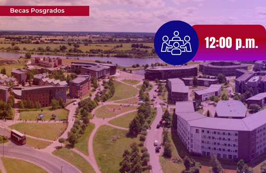Webinar: University of York