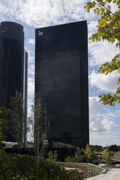 ML_8781-copia