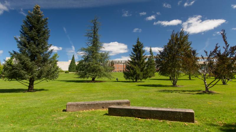 Universidad de Navarra